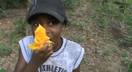 Mango business in Haiti