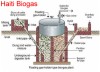Haiti Human Excrement to solve the problem of deforestation and Cholera
