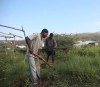 New Agricultural center in Haiti