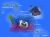Bahamas fears Haitian invasion with birth rate 